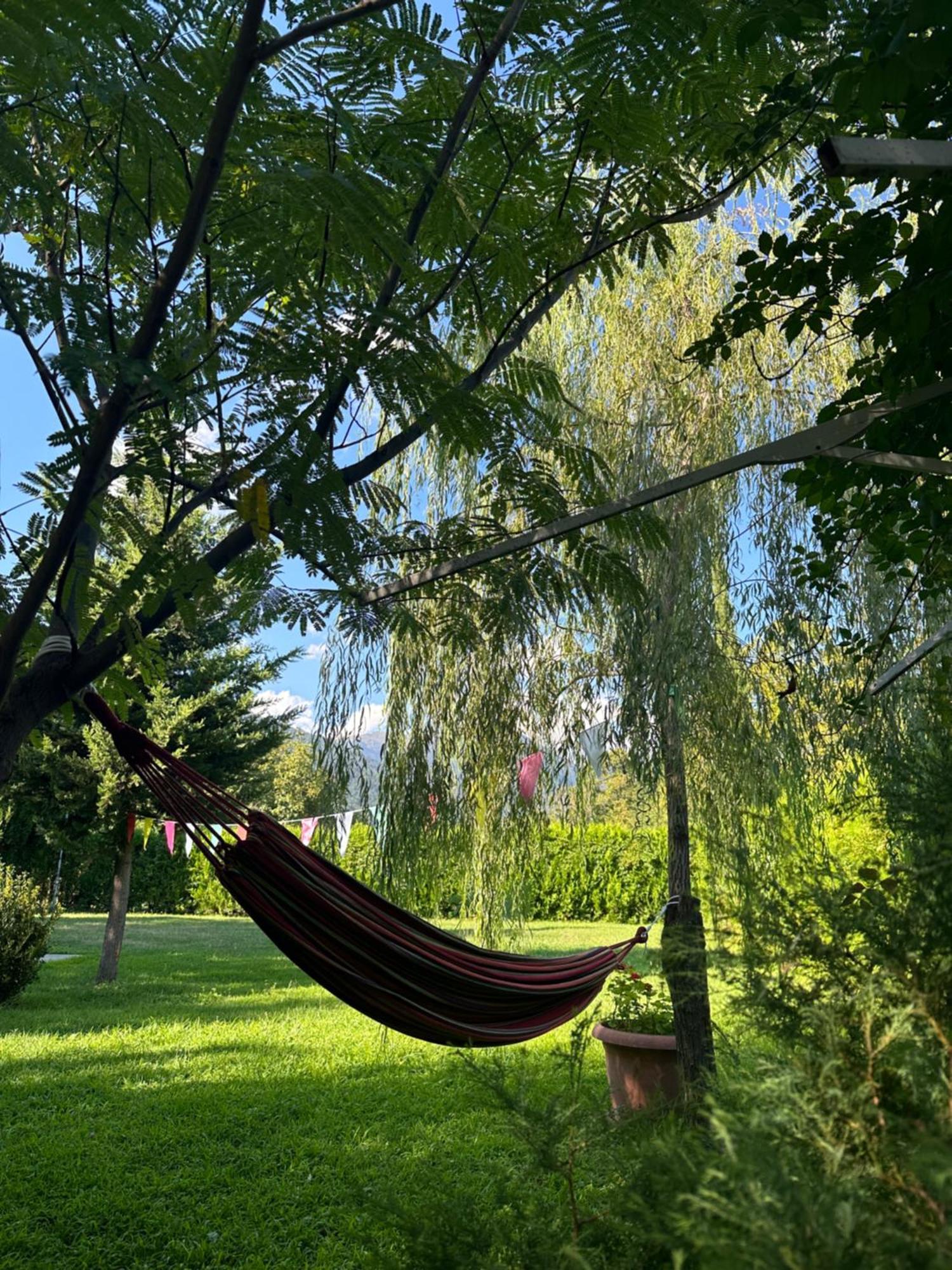 Country house House Kvareli